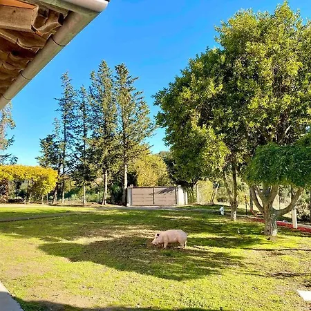 Villa Gaia Toscana *
